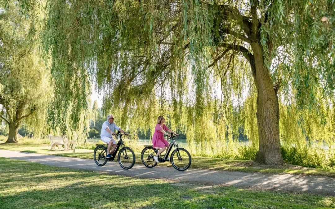 Voici un article en anglais