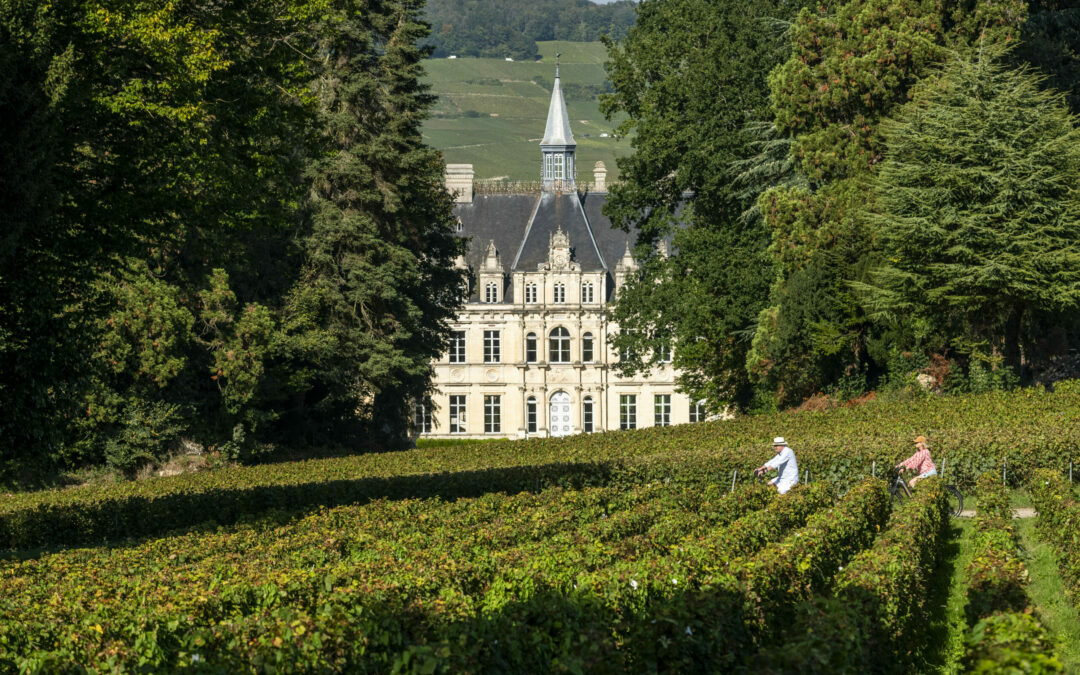 Visiter la Champagne à vélo élec &hellip;