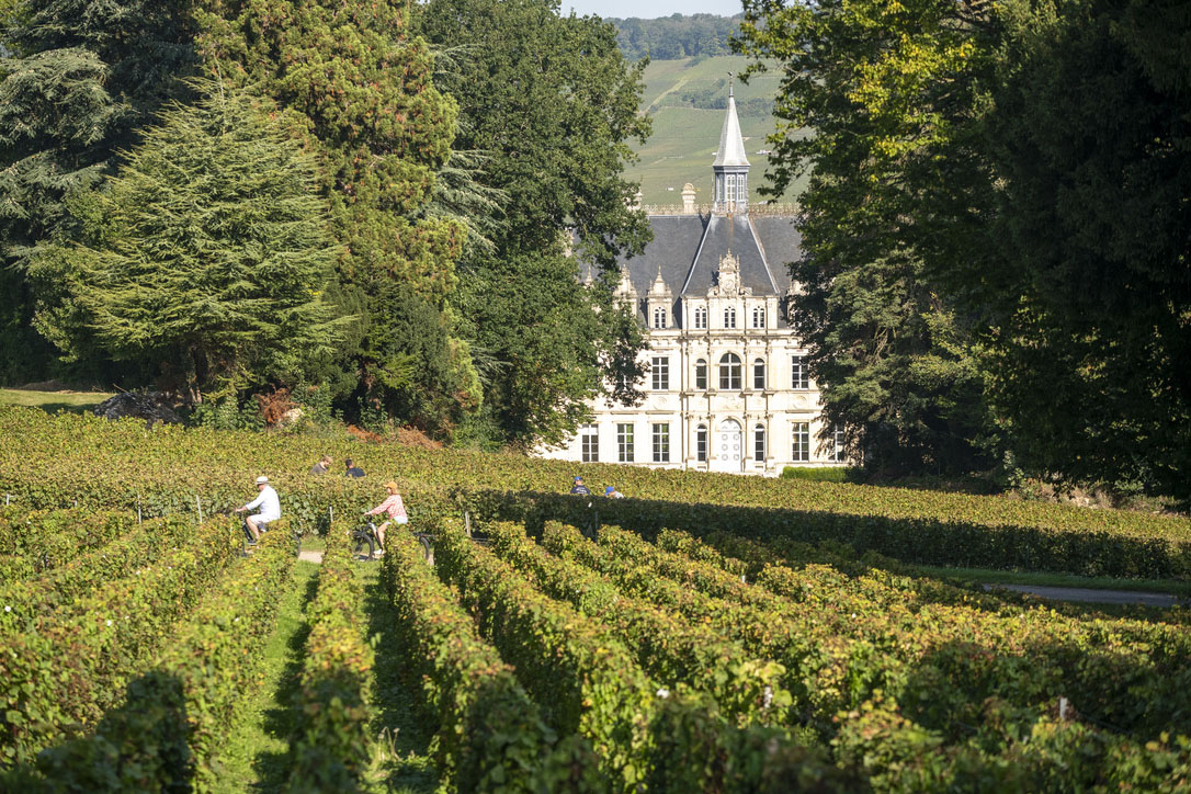 le magnifique Château de Boursault