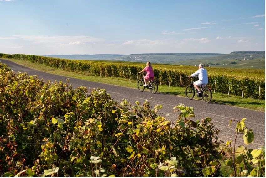 Ontspannen fietsen door de wijngaarden