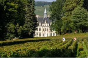 Kasteel van Boursault tussen de herfstkleurige wijngaarden in de Champagne