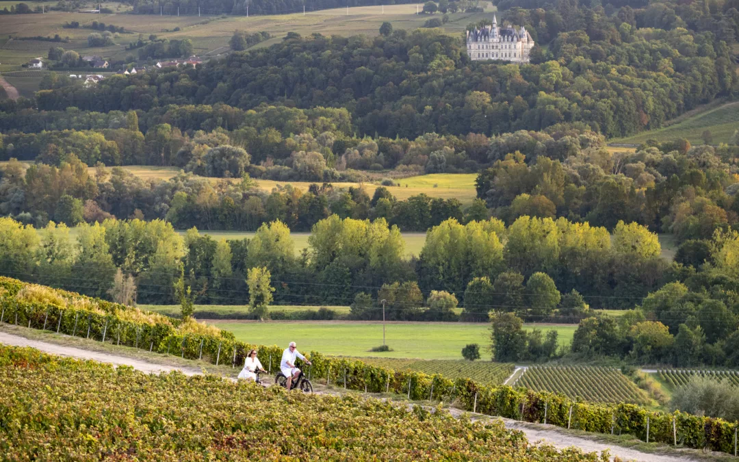 Wat te doen in Champagne in de herf &hellip;