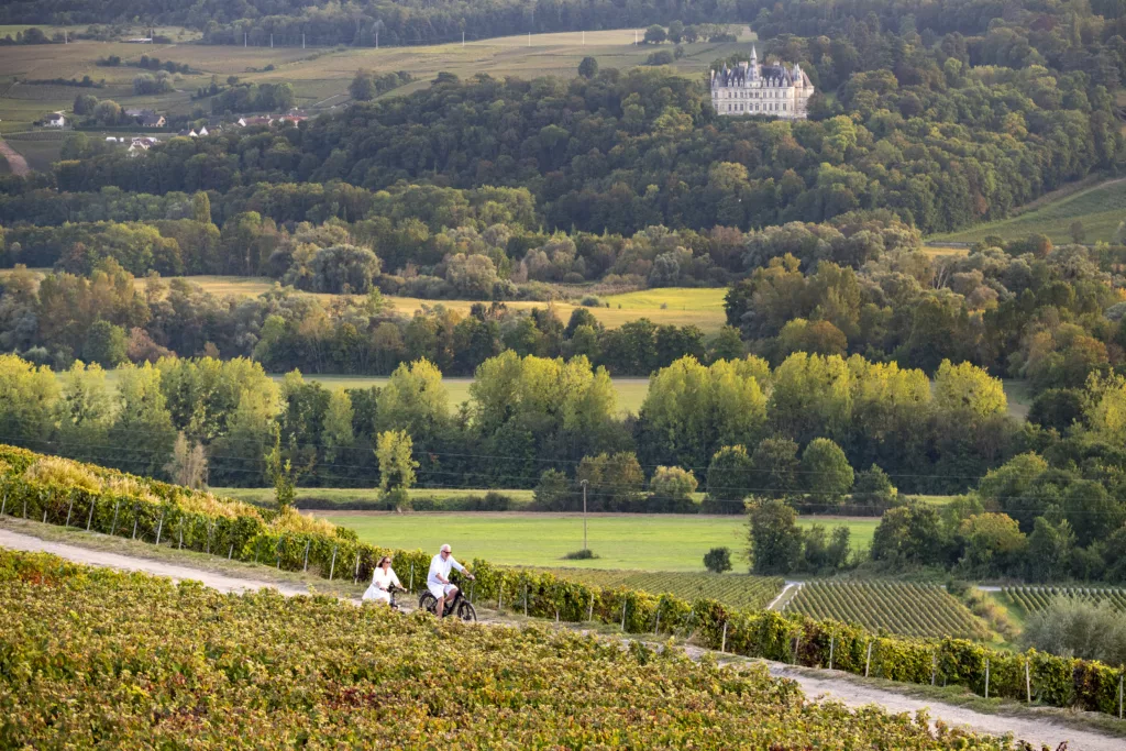 Autumn view of Château de Boursault from Arty, surrounded by golden vineyards in Champagne