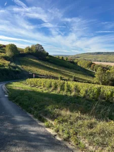 Panoramisch uitzicht over de wijngaarden van de Marnevallei