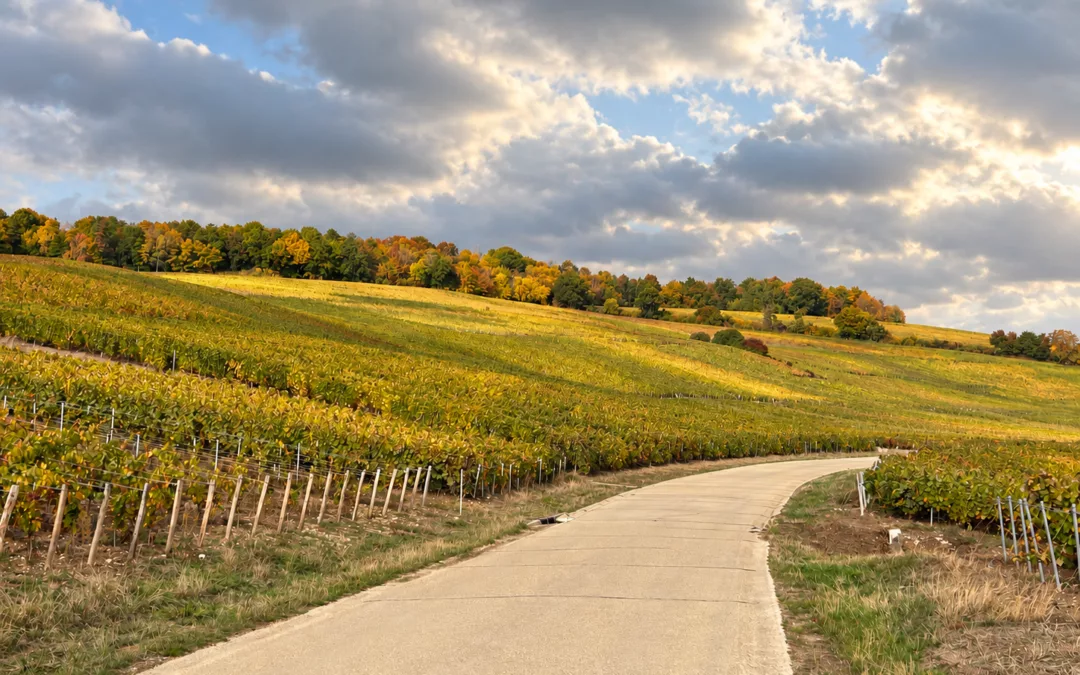 Que faire en Champagne en automne ? &hellip;