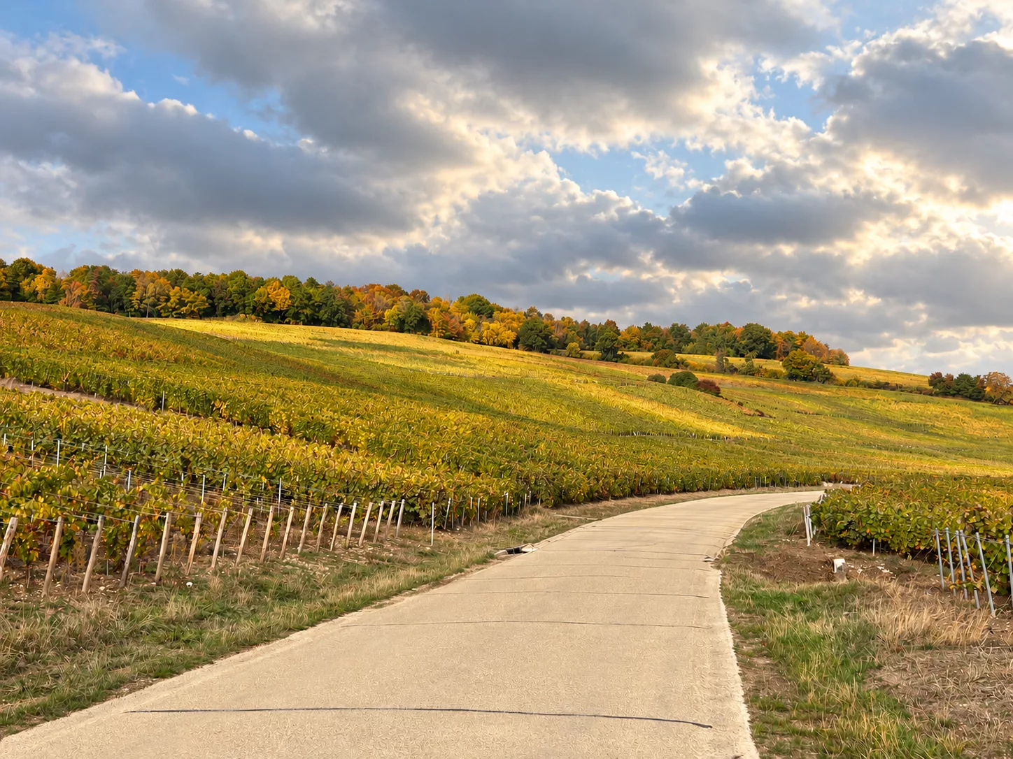 Que faire en Champagne en automne ? &hellip;