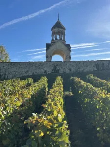 Panorama sur les coteaux viticoles en Champagne